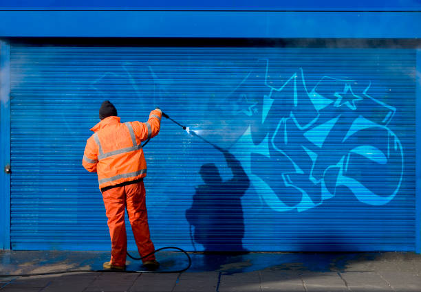 Best Pressure Washing Siding  in Safford, AZ